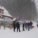 Wypożyczalnia i serwis sprzętu zimowego